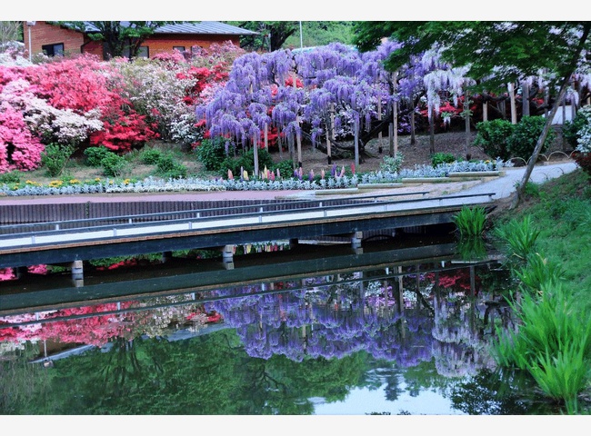 музей самураев