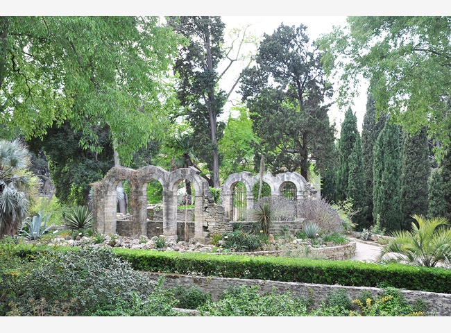 Ботанический сад Jardin des Plantes Ботанический сад Jardin des Plantes