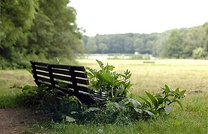 Амстердамский Лес (Amsterdamse Bos)