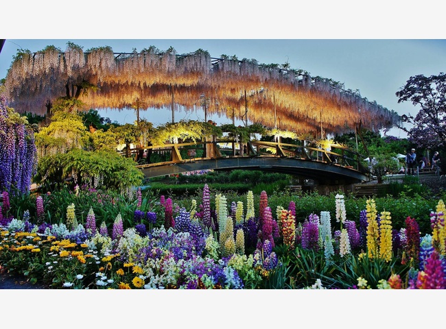 музей самураев