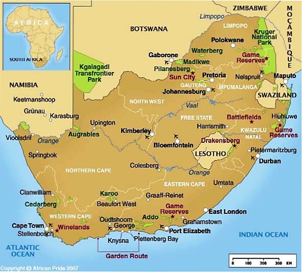 caltexs business in south africa essay caltexs business in south africa essay